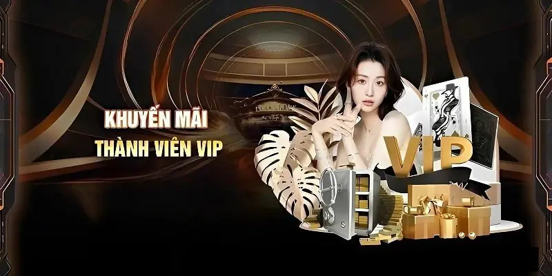 Giới thiệu qua về khuyến mãi thành viên VIP